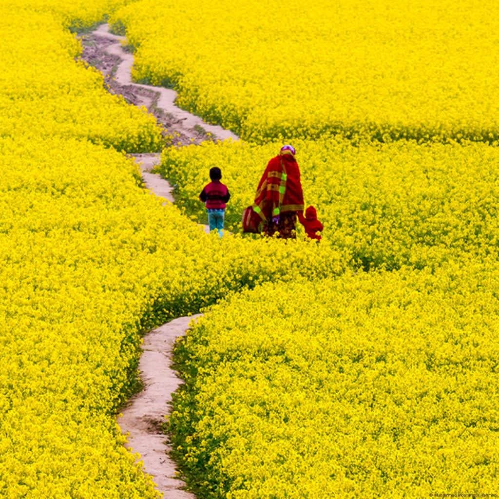 নভেম্বরে আর ফিরবে না শীতের আমেজ, অকাল বৃষ্টির পূর্বাভাস একাধিক জেলায়