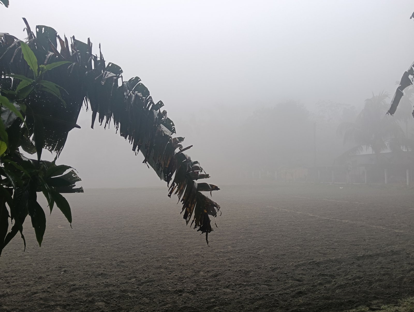 ট্রেলার শেষ, এবার আসল শীত! ৪৮ ঘণ্টায় দক্ষিণবঙ্গে তাপমাত্রা আরও নামার ইঙ্গিত